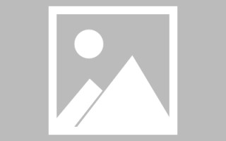 禹城seo网站制作步骤（seo网站设计）